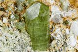 Lustrous, Apatite Crystals in Feldspar - Imilchil, Morocco #107891-3